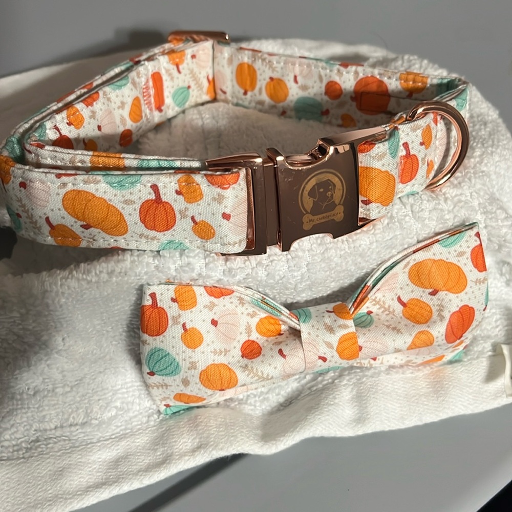 Dog Collar with Bow, Pumpkin Soft collar, Medium NWT